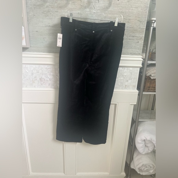 NWT new 30 Anthropologie pilcro solid velvet moto cropped pants black short - Picture 13 of 14